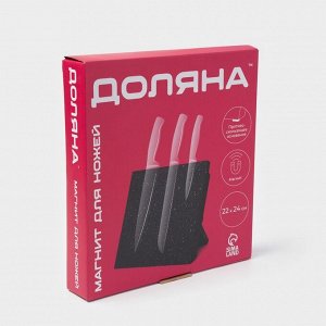 Держатель для ножей магнитный Доляна «Зефир», 22*24 см, цвет чёрный