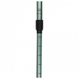 Палки трекинговые maclay Alu 100, телескопические, 2 шт.