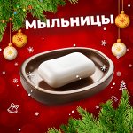 Мыльницы