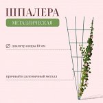 Шпалера веерная, 150x52x1 см, металл, зелёная