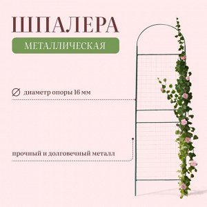 Шпалера, 190x50x1.6 см, металл, зелёная, «Сетка разборная»