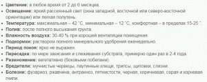 Фаленопсис Букет Дилайт 3-5 ст