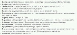 Адениум Обесум красный