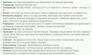 Юкка 1 ст Диаметр 12

Взрослое растение может достичь высоты в 2 м, и даже выше, так что подоконник подойдет только для «малышей» юкки. Но и для них подоконник должен быть достаточно широк, чтобы лист