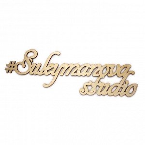 Suleymanova Studio логотип