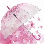 Плащи от дождя! Зонты / защита обуви от дождя