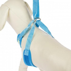 Пижон Шлейка регулируемая дышащая, светоотражающая, размер XL (ОШ 48-68; ОГ 58-72 см), голубая