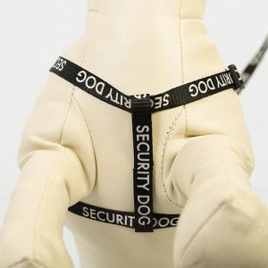 Комплект Security dog, шлейка 26-39 см, поводок 120х1 см