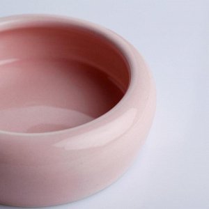 Миска для кошек Пижон, керамическая, нежно-розовая, 110 мл