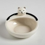 Миска керамическая &quot;Ленивый кот&quot;, 250 мл, 12,6 х 12,5 х 8 см, белая