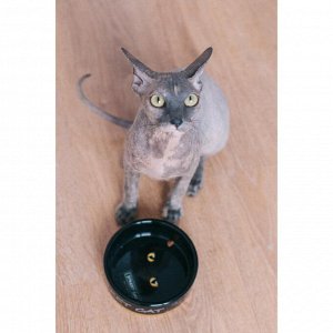 Миска керамическая "Черный кот" 300 мл, оранжевая