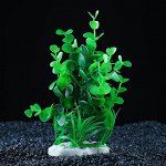 Растение искусственное аквариумное, 14 х 12 х 17 см