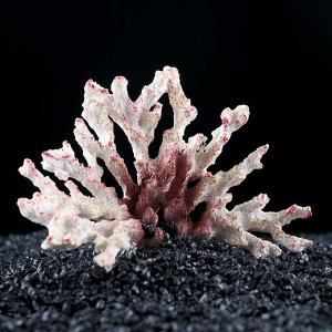 Декор для аквариума "Ветка коралла", 12 х 7 х 10 см