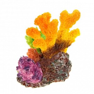 Декор для аквариума "Коралловый островок", 10 х 8 х 9,5 см