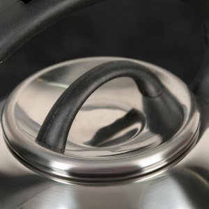 Чайник со свистком Доляна «Квант», 2,6 л, фиксированная ручка, цвет чёрный
