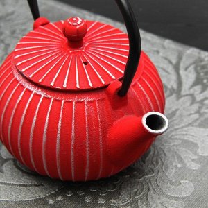 Чайник с ситом 500 мл "Тео", цвет красный