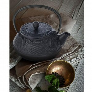 Чайник с ситом 800 мл "Восточная ночь" , цвет черный, с эмалированным покрытием внутри
