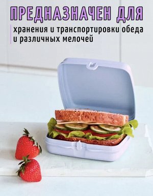 Ланч-бокс Вальс голубой 1шт - Tupperware®.