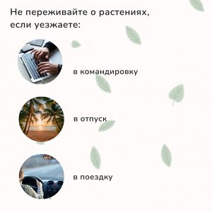Автополив для комнатных цветов, 380 мл, h=16 см, пластик, МИКС