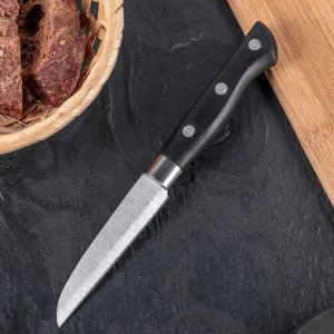 Нож кухонный «Кронос», лезвие 9 см 3840038