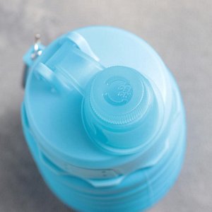 Бутылка Доляна «Честер», 500 мл, цвет МИКС