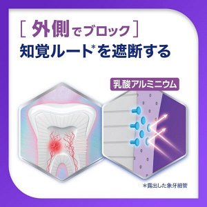 Shumitect Platinum Protect Hypersensitivity Care Citrus Toothpaste - зубная паста для суперчувствительных зубов