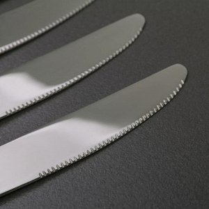 Набор ножей столовых Доляна «Капля», 23 см, 6 шт