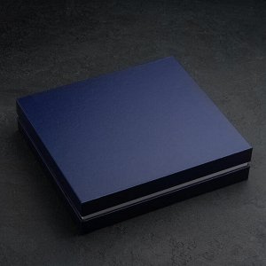 Набор столовых приборов «Торжество» , 24 предмета, толщина 2 мм, декоративная коробка, цвета МИКС