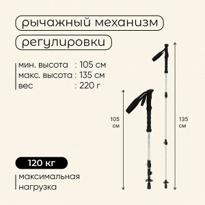 Палка трекинговая maclay Carbon 900, телескопическая, 1 шт.