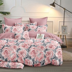 Веста КПБ поплин 2,0сп (с пр-ней 220*240)