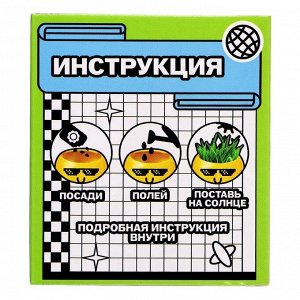 Набор для опытов, для детей «Выращиваем травку», растение в горшочке - эмодзи «Крутой»