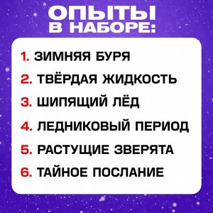Набор для опытов «Новогодние опыты», 6 опытов