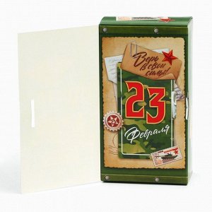 Чай подарочный «Лучшему мужчине. 23 февраля», вкус: чабрец, 100 г.