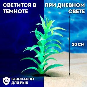 Растение искусственное аквариумное, светящееся, 20 см, зелёное