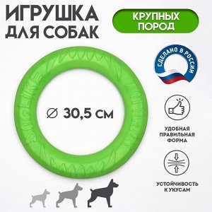 Кольцо "ДогЛайк" D-2611, 8-мигранное, большое, ? 30,5 см, зелёное