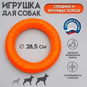Кольцо "ДогЛайк" D-2612,  8-мигранное, среднее ? 28,5см
