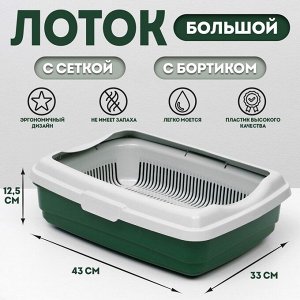 Лоток большой с сеткой и бортиком Atlantis "Стандарт", 43 х 33 х 12,5 см, зеленый.