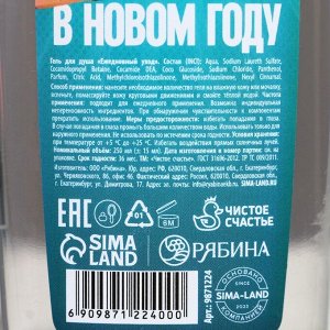 Гель для душа «Побед в Новом Году!», 250 мл, аромат мужского парфюма, Чистое счастье