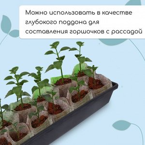 Ящик для рассады, 60x14.5x9 см, 4.5 л, пластик, МИКС