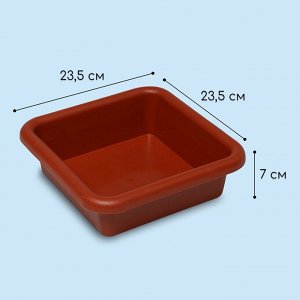 Ящик для рассады, 23.5 ? 23.5 ? 7 см, 3 л, пластик, цвет МИКС