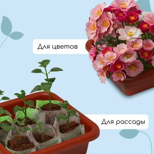 Ящик для рассады, 23.5x23.5x7 см, 3 л, пластик, цвет МИКС