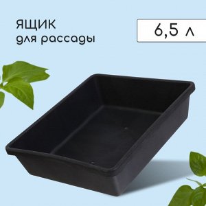 Ящик для рассады, 35 x 30 x 9 см, 6,5 л, пластик, чёрный