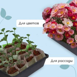 Ящик для рассады, 35 x 30 x 9 см, 6,5 л, пластик, чёрный