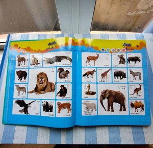 Говорящая книжка книжка нажималка