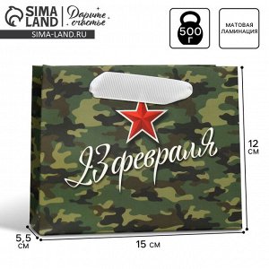 Пакет подарочный ламинированный горизонтальный, упаковка, «С 23 февраля», S 15 х 12 х 5.5 см