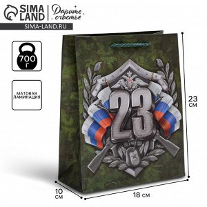 Пакет подарочный ламинированный вертикальный, упаковка, «С 23 февраля», MS 18 х 23 х 10 см