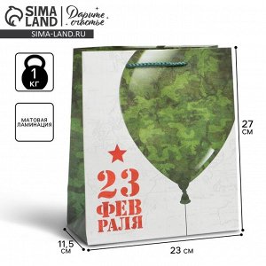 Пакет подарочный ламинированный вертикальный, упаковка, «С 23 февраля», ML 23 х 27 х 11.5 см