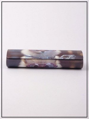 Футляр для очков TAO T-20803V84 C1