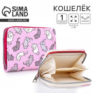 Кошелёк детский «Котята» 10x8.5x2 см, розовый