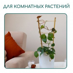 Шпалера, 60x20x1 см, бамбук, «Одинарная», Greengo